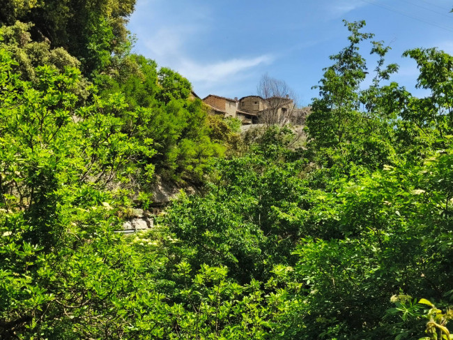 Terreno Agricolo in vendita a Acquasanta Terme