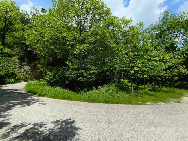 Terreno Agricolo in vendita a Acquasanta Terme