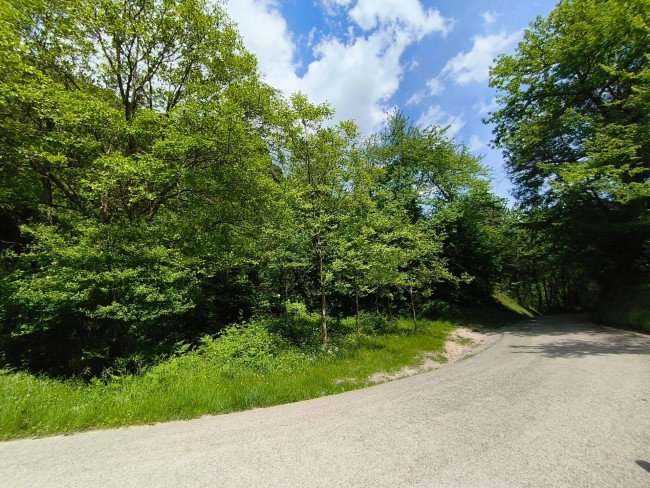 Terreno Agricolo in vendita a Acquasanta Terme
