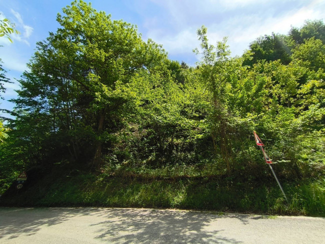 Terreno Agricolo in vendita a Acquasanta Terme