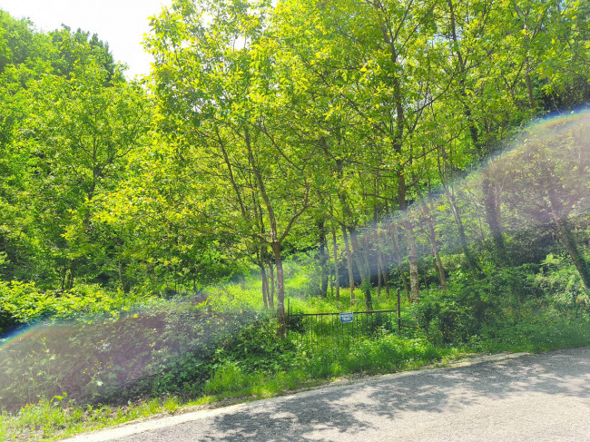 Terreno Agricolo in vendita a Acquasanta Terme
