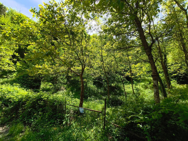 Terreno Agricolo in vendita a Acquasanta Terme