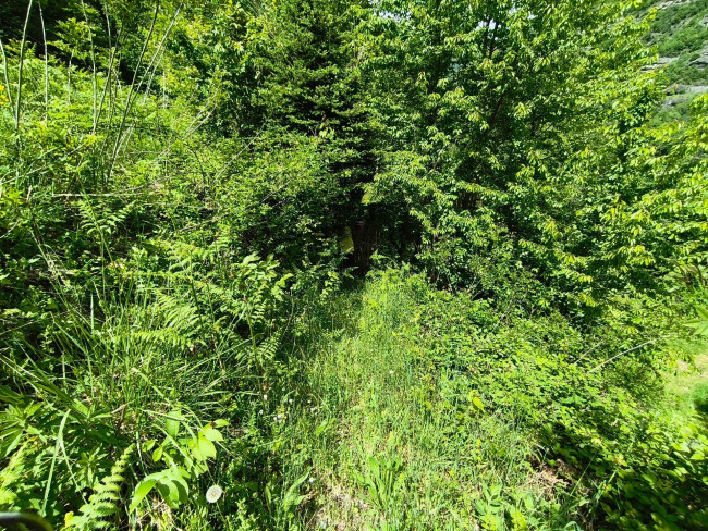 Terreno Agricolo in vendita a Acquasanta Terme