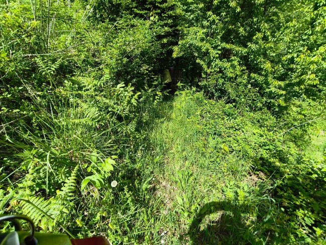 Terreno Agricolo in vendita a Acquasanta Terme