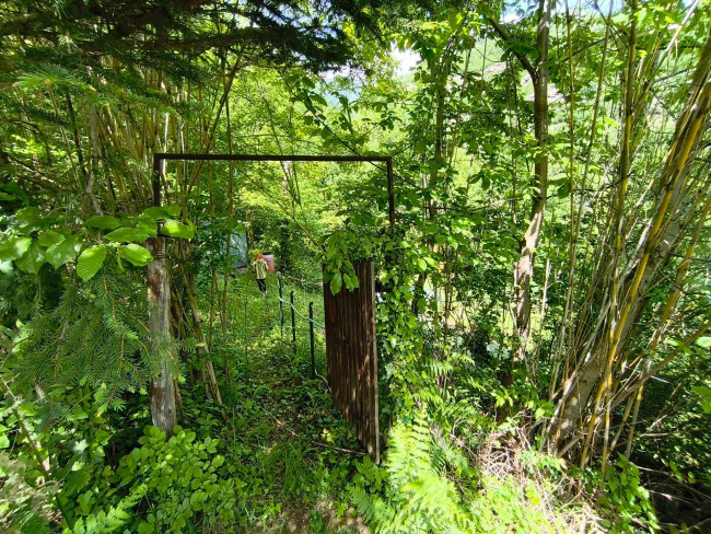 Terreno Agricolo in vendita a Acquasanta Terme