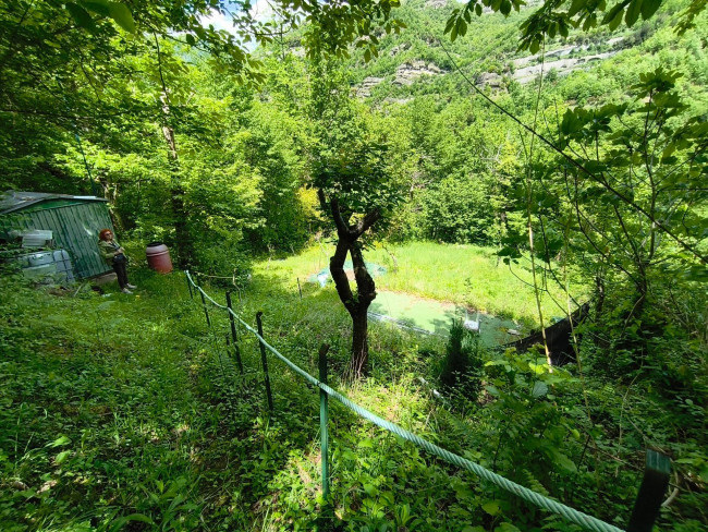 Terreno Agricolo in vendita a Acquasanta Terme