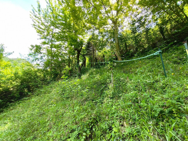 Terreno Agricolo in vendita a Acquasanta Terme