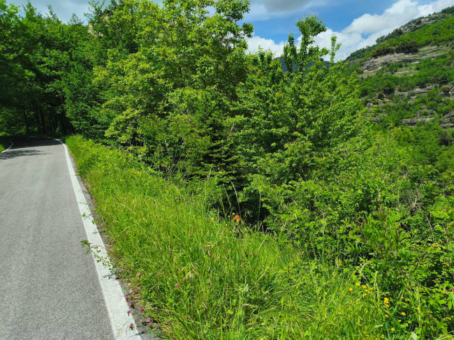 Terreno Agricolo in vendita a Acquasanta Terme