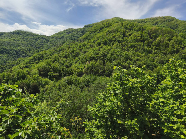 Casa singola in vendita a Acquasanta Terme