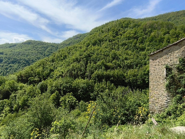 Casa singola in vendita a Acquasanta Terme