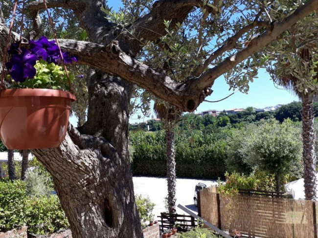 Residence in vendita a Massignano