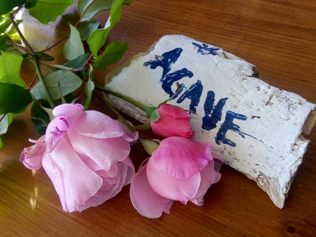 Residence in vendita a Massignano