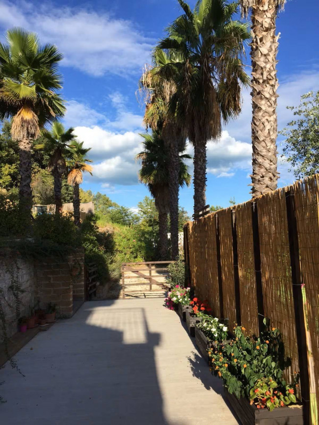 Residence in vendita a Massignano