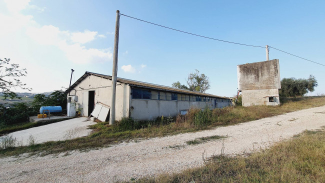 Casa singola in vendita a Offida