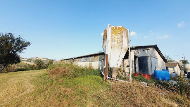 Casa singola in vendita a Offida