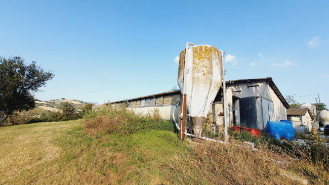 Terreno Agricolo in vendita a Offida