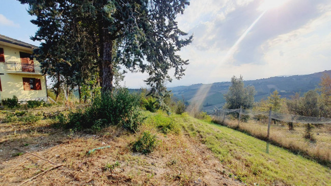 Terreno Agricolo in vendita a Offida