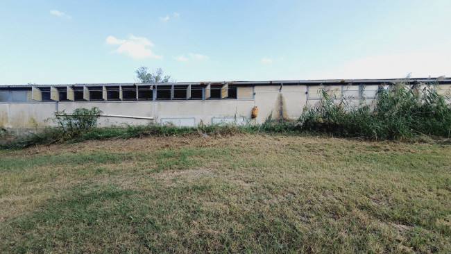 Terreno Agricolo in vendita a Offida
