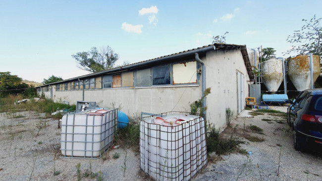 Terreno Agricolo in vendita a Offida