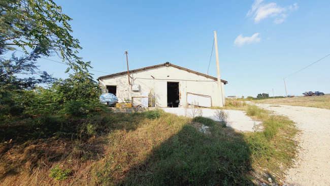 Terreno Agricolo in vendita a Offida