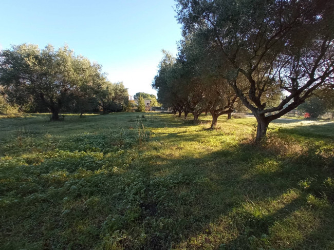 Casa singola in vendita a Martinsicuro