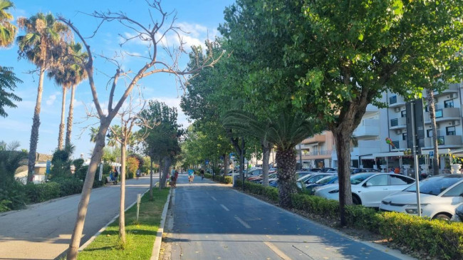 Appartamento in vendita a Alba Adriatica