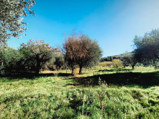 Casa singola in vendita a San Benedetto del Tronto