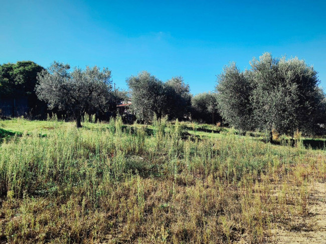 Casa singola in vendita a San Benedetto del Tronto