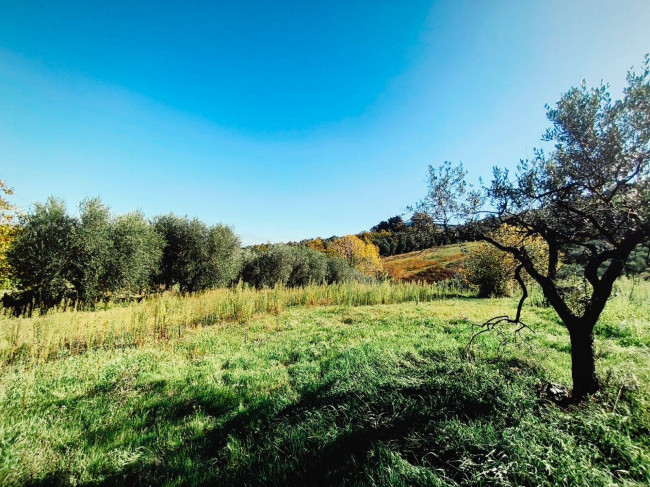 Casa singola in vendita a San Benedetto del Tronto