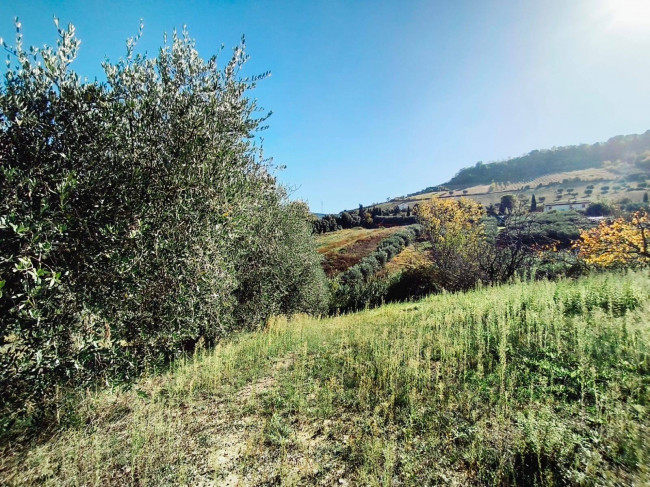 Casa singola in vendita a San Benedetto del Tronto