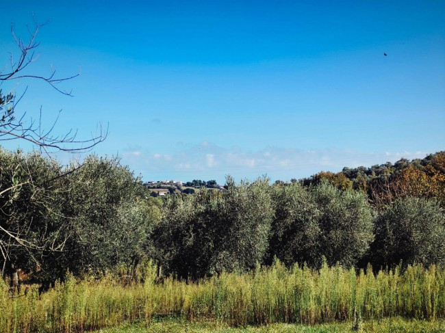 Casa singola in vendita a San Benedetto del Tronto