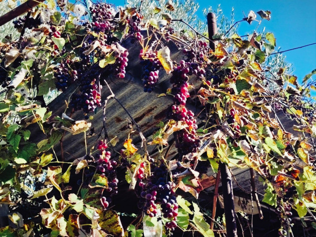 Casa singola in vendita a San Benedetto del Tronto