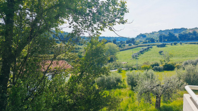 Appartamento in vendita a Massignano