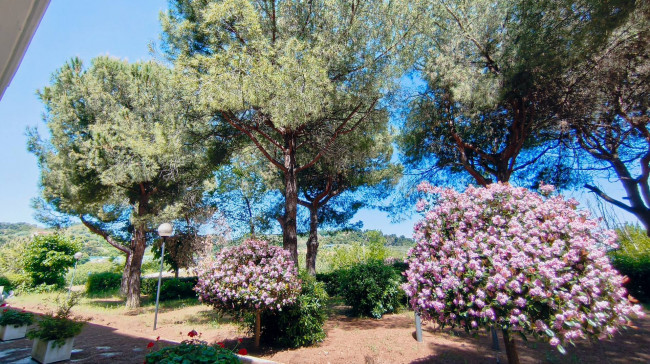 Appartamento in vendita a Massignano