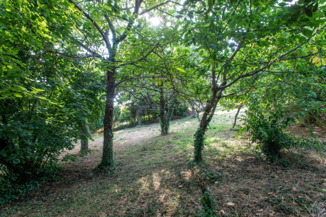 Casa singola in vendita a Varzi