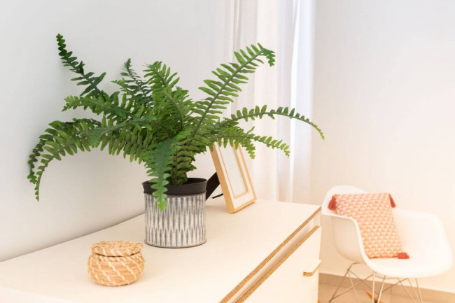 Appartamento in vendita a Casteggio