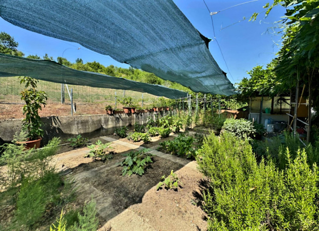 Casa singola in vendita a Pozzol Groppo