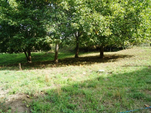 Terreno edificabile in vendita a Arvier