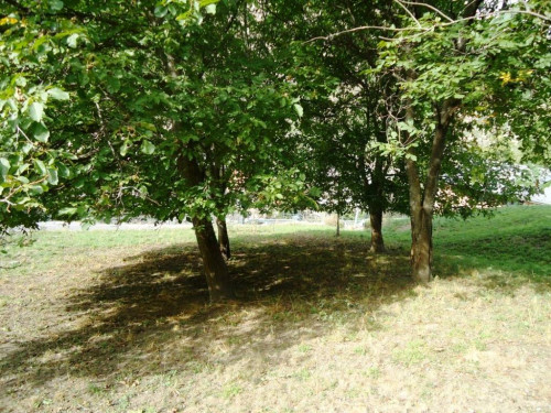 Terreno edificabile in vendita a Arvier