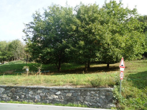 Terreno edificabile in vendita a Arvier