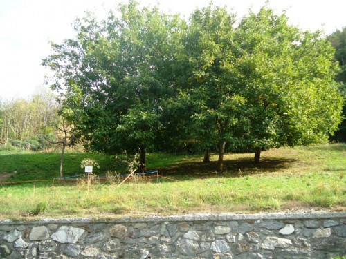Terreno edificabile in vendita a Arvier
