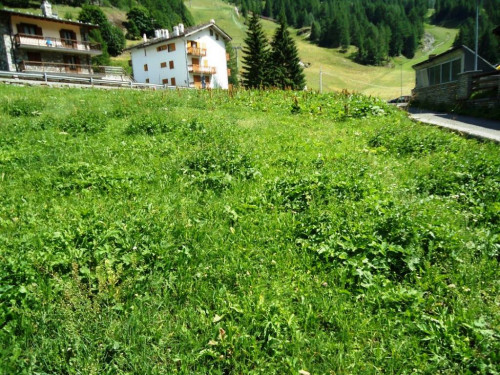 Terreno edificabile in vendita a Valgrisenche