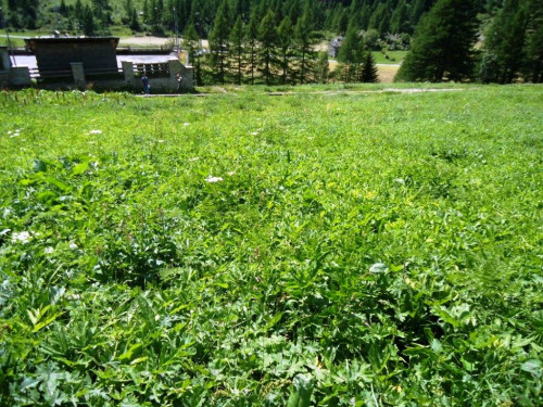 Terreno edificabile in vendita a Valgrisenche