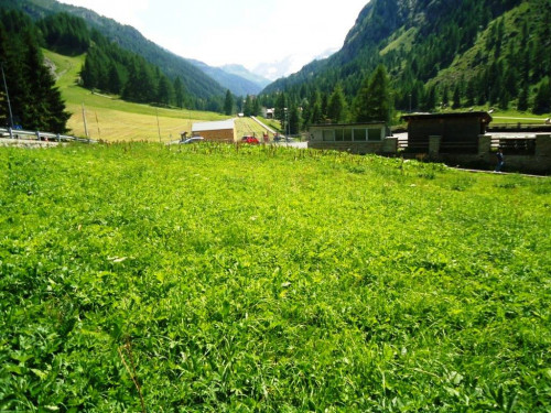 Terreno edificabile in vendita a Valgrisenche