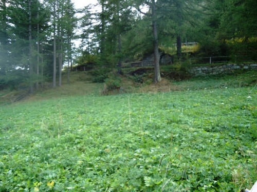 Terreno edificabile in vendita a Valgrisenche