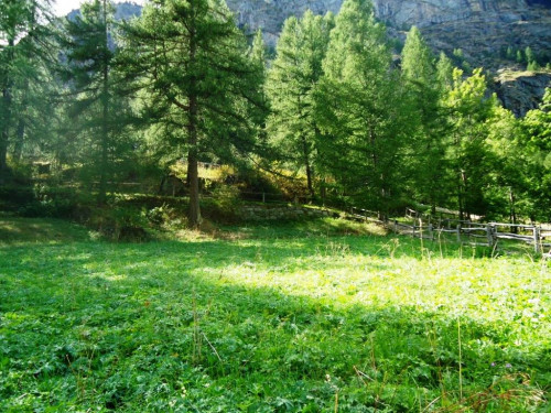 Terreno edificabile in vendita a Valgrisenche