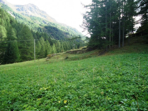 Terreno edificabile in vendita a Valgrisenche