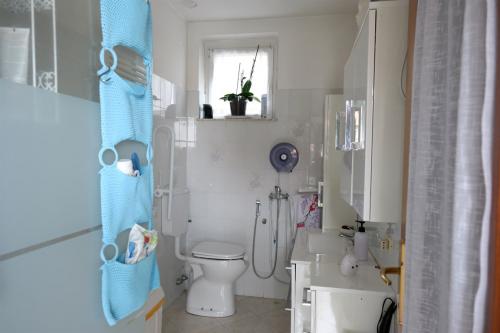 Altro in vendita a Somma Lombardo