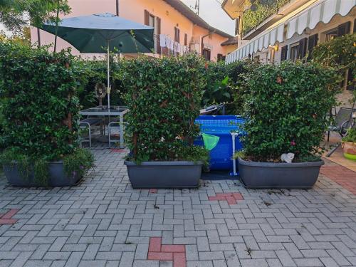 Altro in vendita a Somma Lombardo