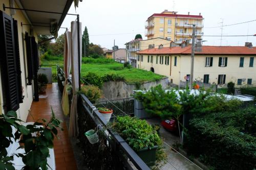 Altro in vendita a Somma Lombardo